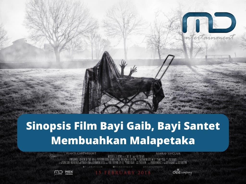 Sinopsis Film Bayi Gaib, Bayi Santet Membuahkan Malapetaka
